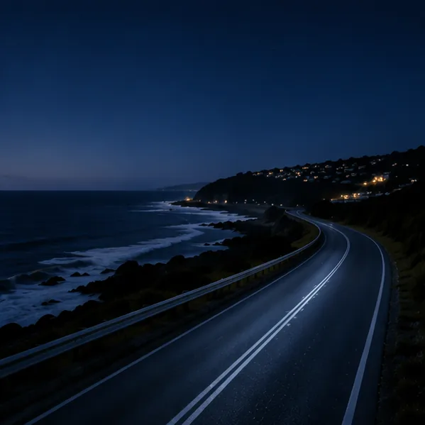 Coast road after dark